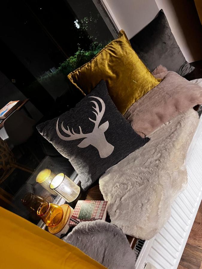 Bavaria Mountain Lodge Ski Arber Osser Bayrischer Wald Designer Ferienwohnung Lohberg Εξωτερικό φωτογραφία